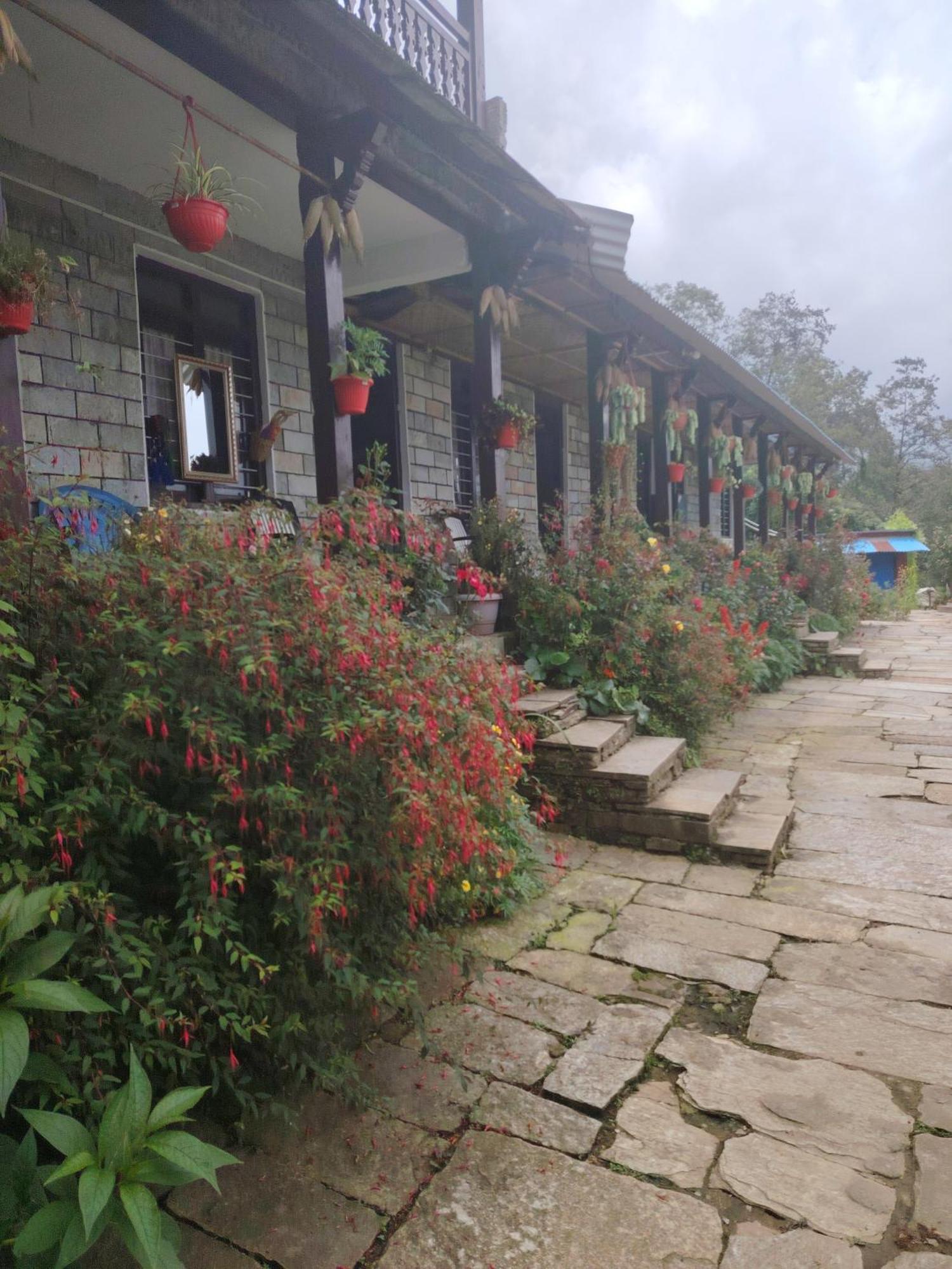 Panorama View Point Lodge And Restaurant, Annapurna-10, Ghandruk ,Agarju Astam Buitenkant foto